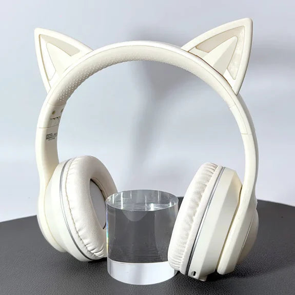 Kinglink Wired & Wireless 5.3 Earphones CA069